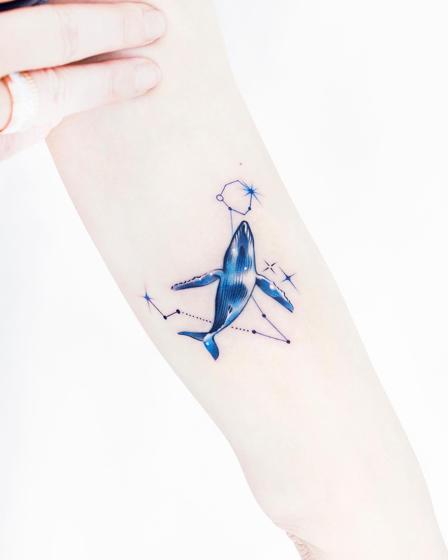 Genial idea de tatuaje de delfín