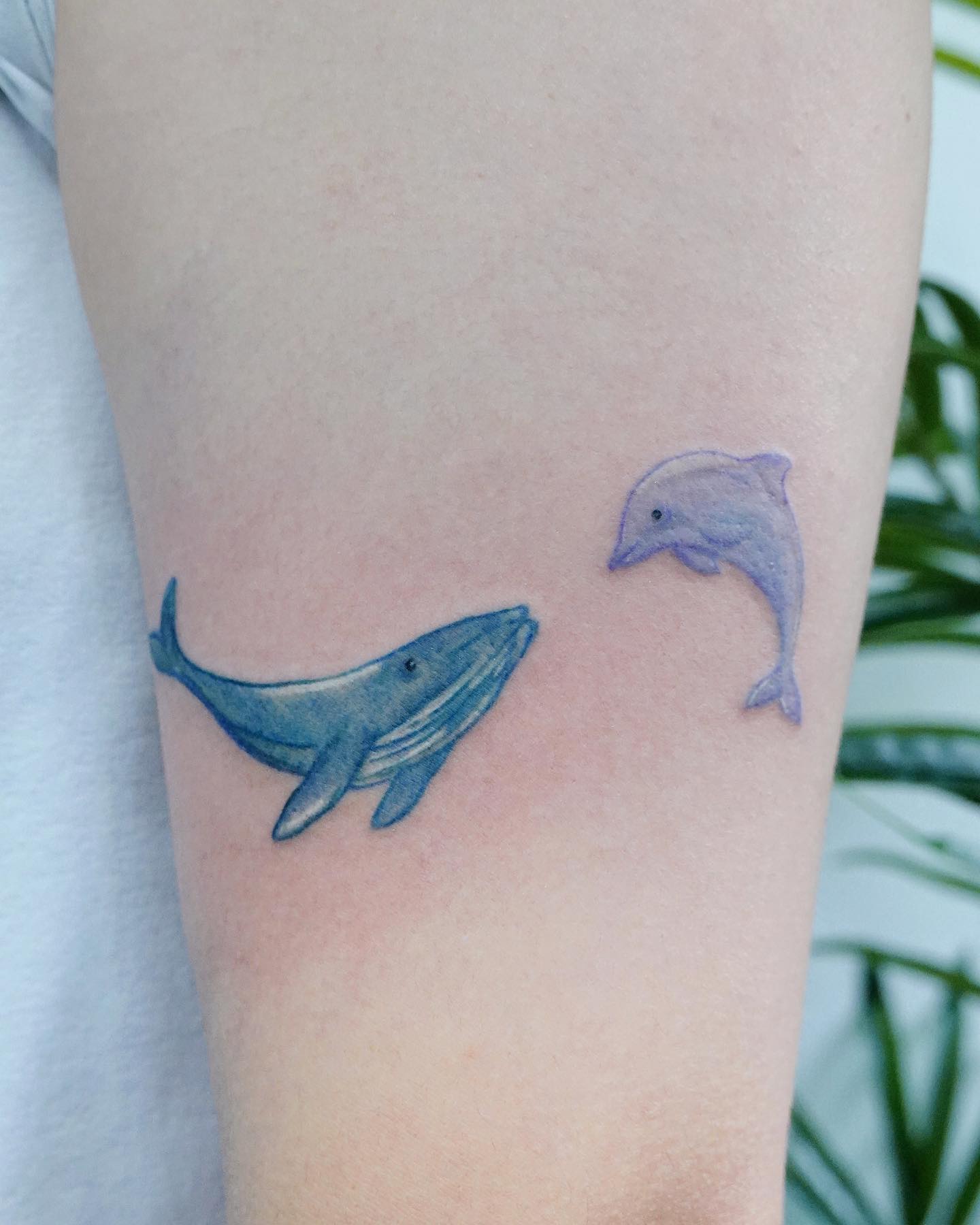 Lindo tatuaje de delfines en pareja.