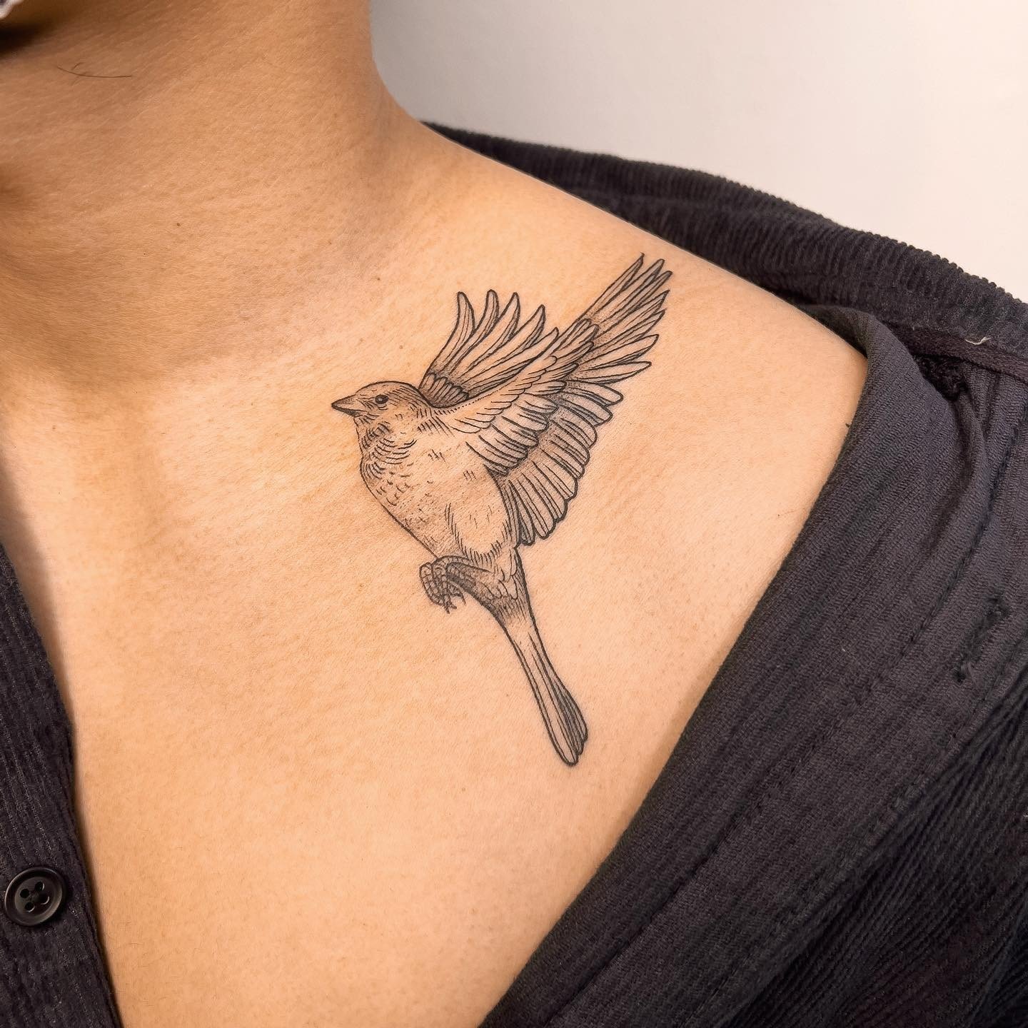 Pájaro negro Tatuaje de clavícula