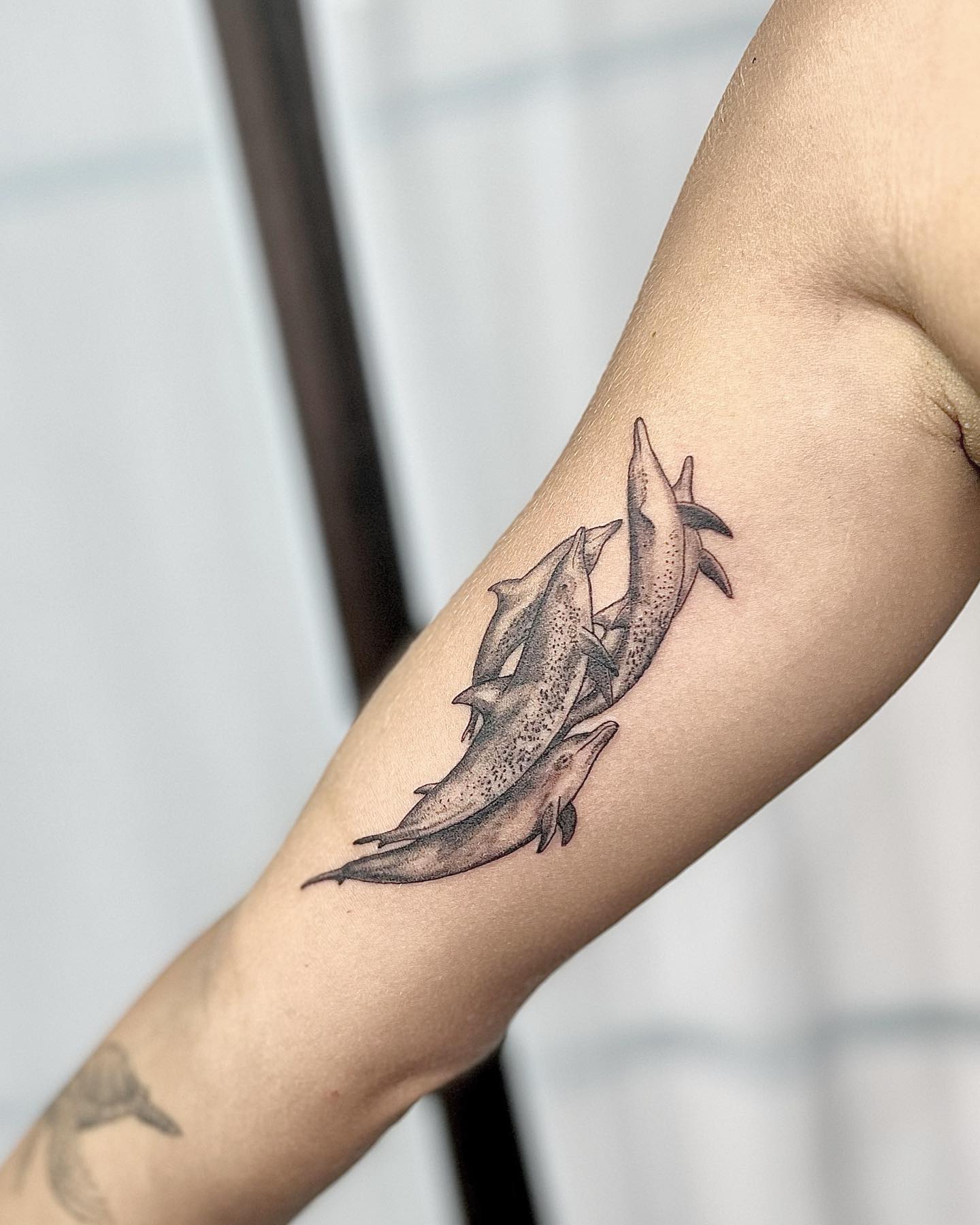Tatuaje de delfín en el bíceps