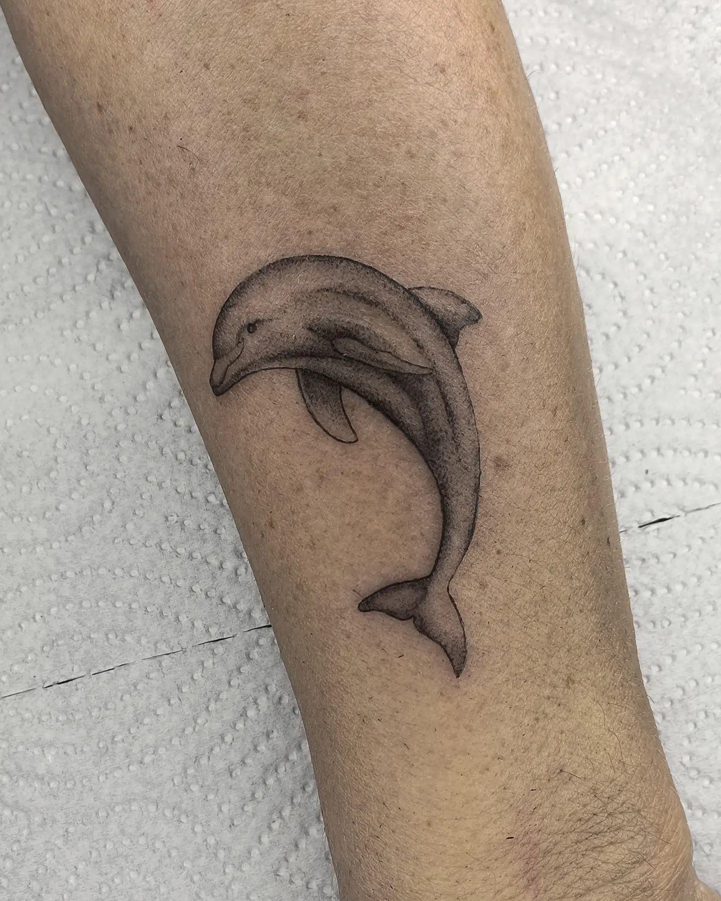 Tatuaje de Delfín en Tinta Negra