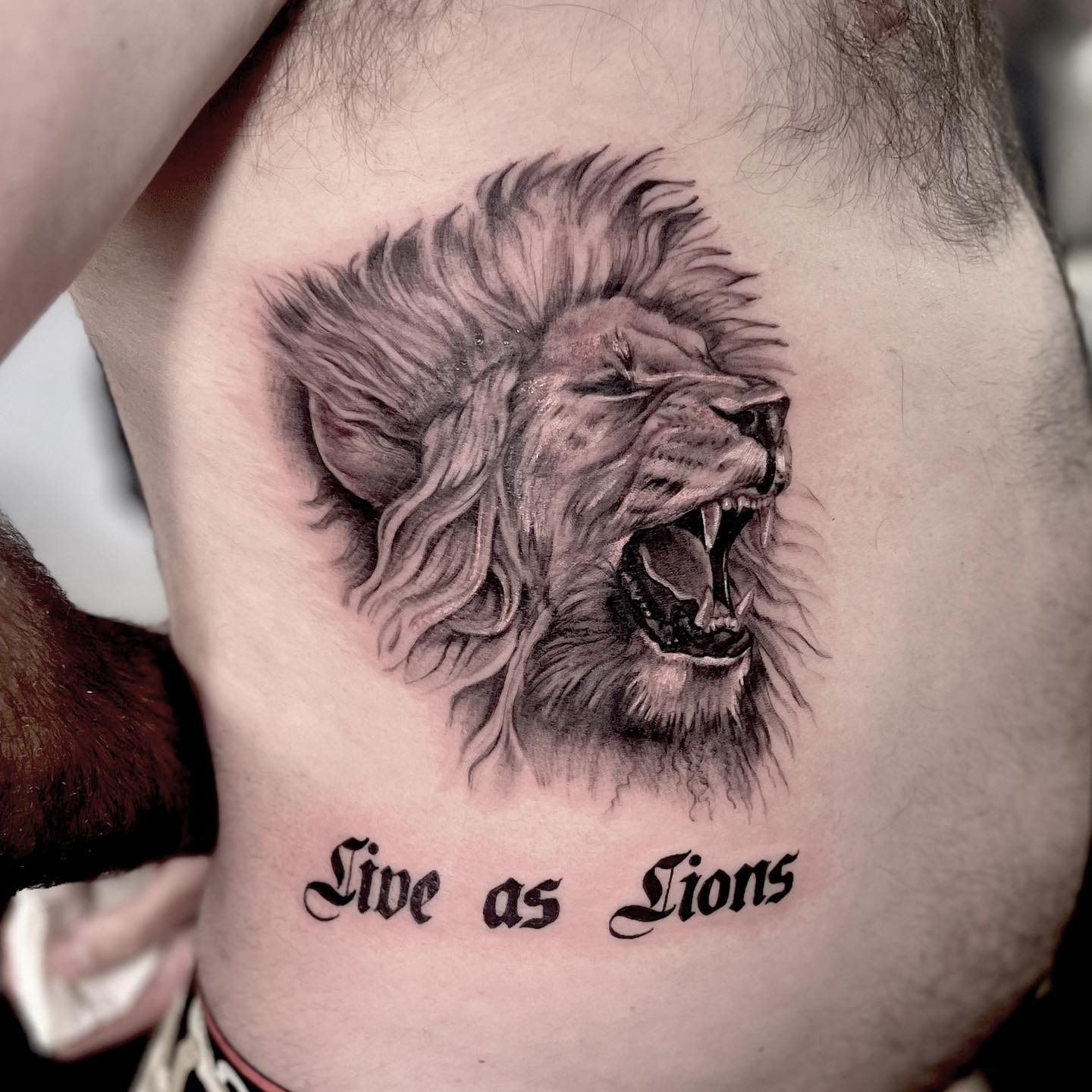 Tatuaje de costilla de león divertido para hombres