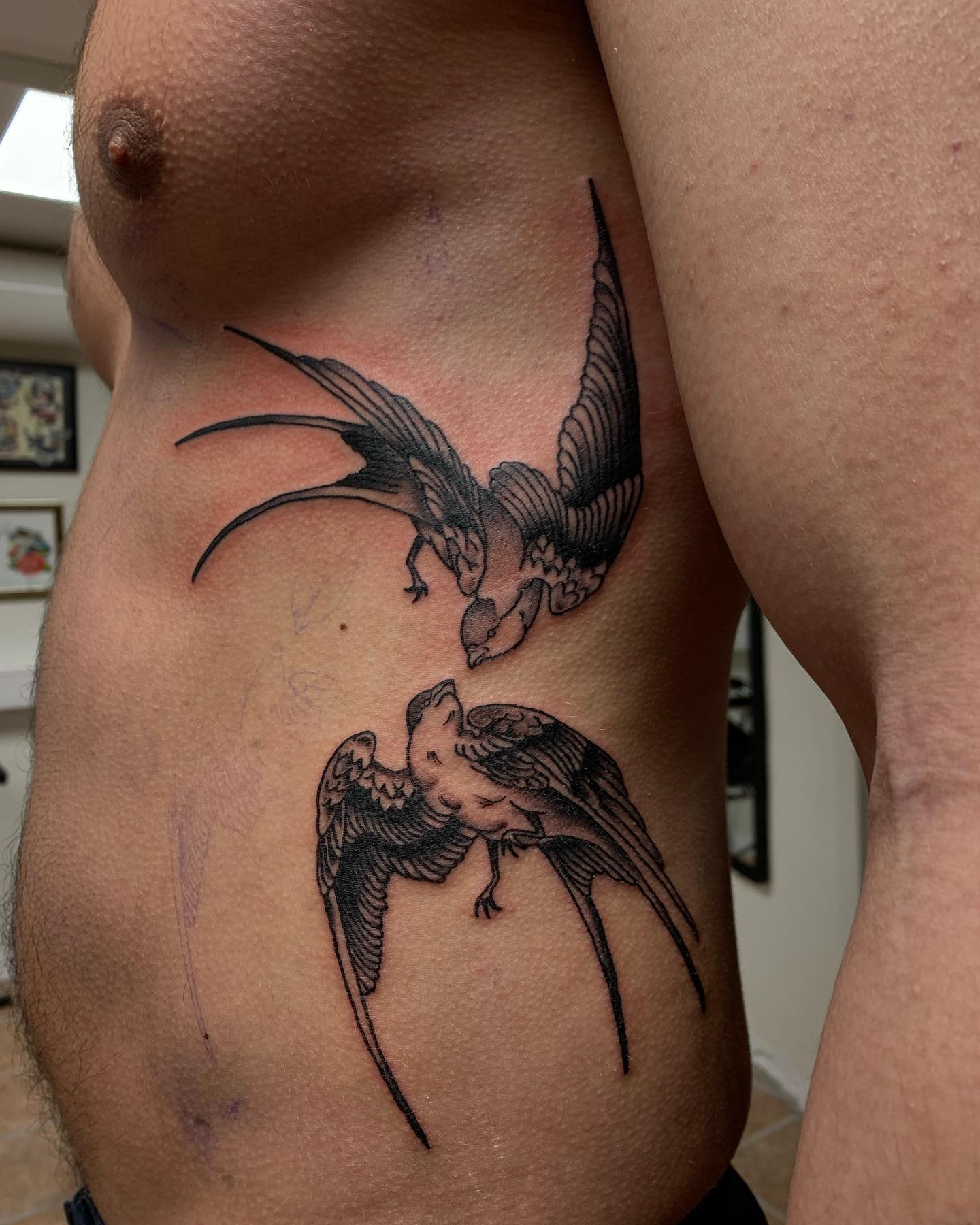 Tatuaje de costillas de dos pájaros para hombres.