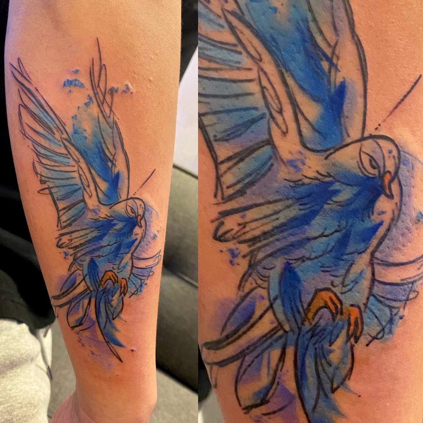 Tatuaje de Paloma Azul Brillante