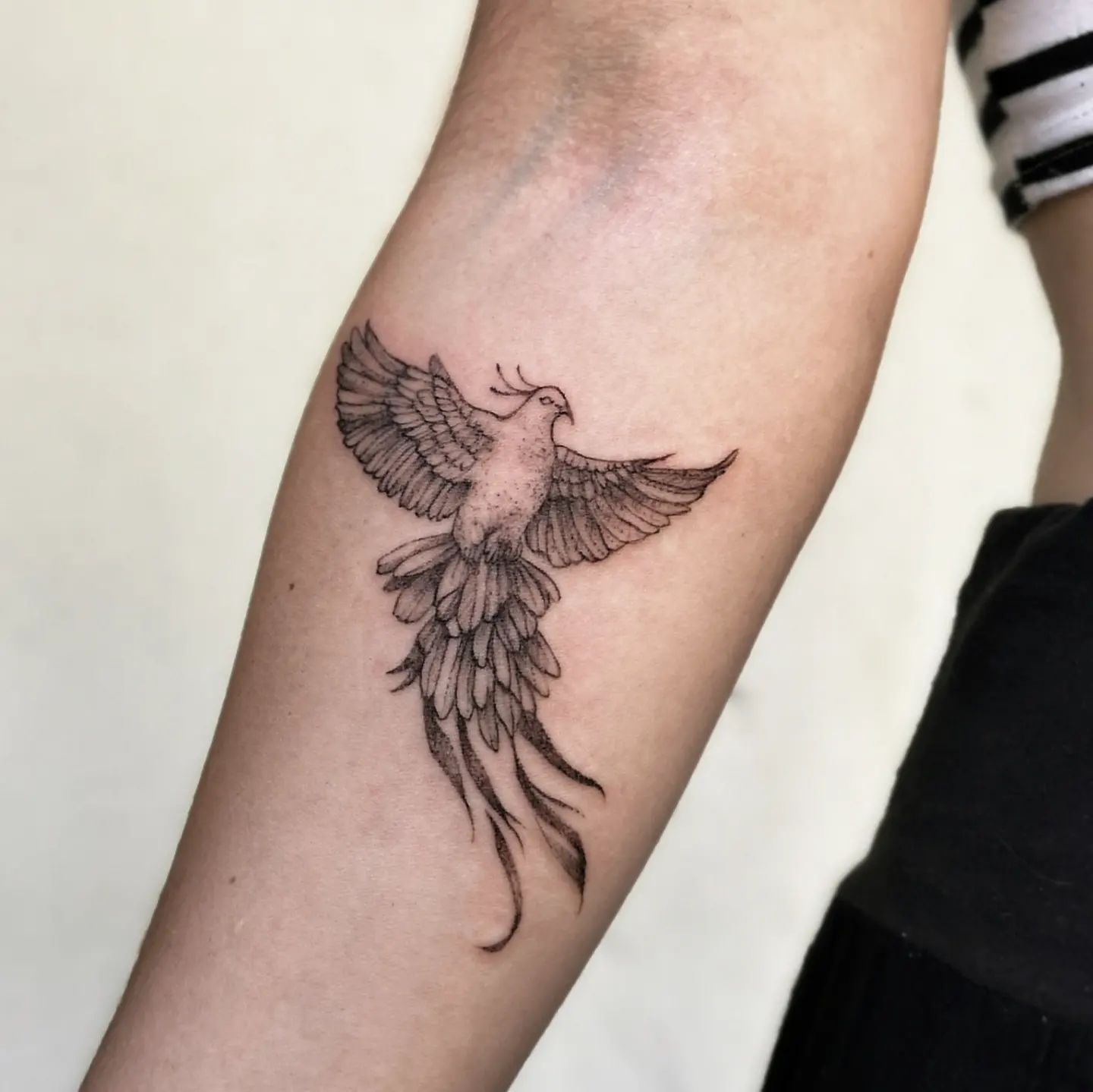 Tatuaje de paloma en antebrazo