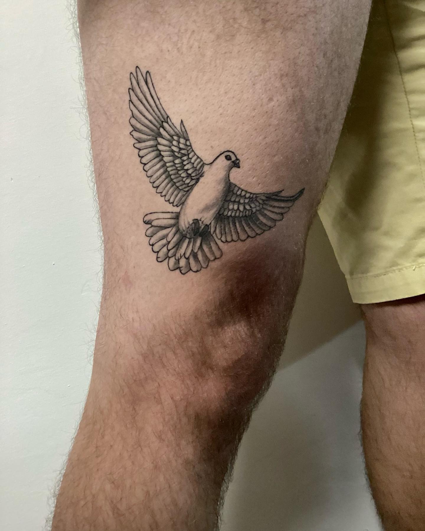 Tatuaje de paloma en la pierna