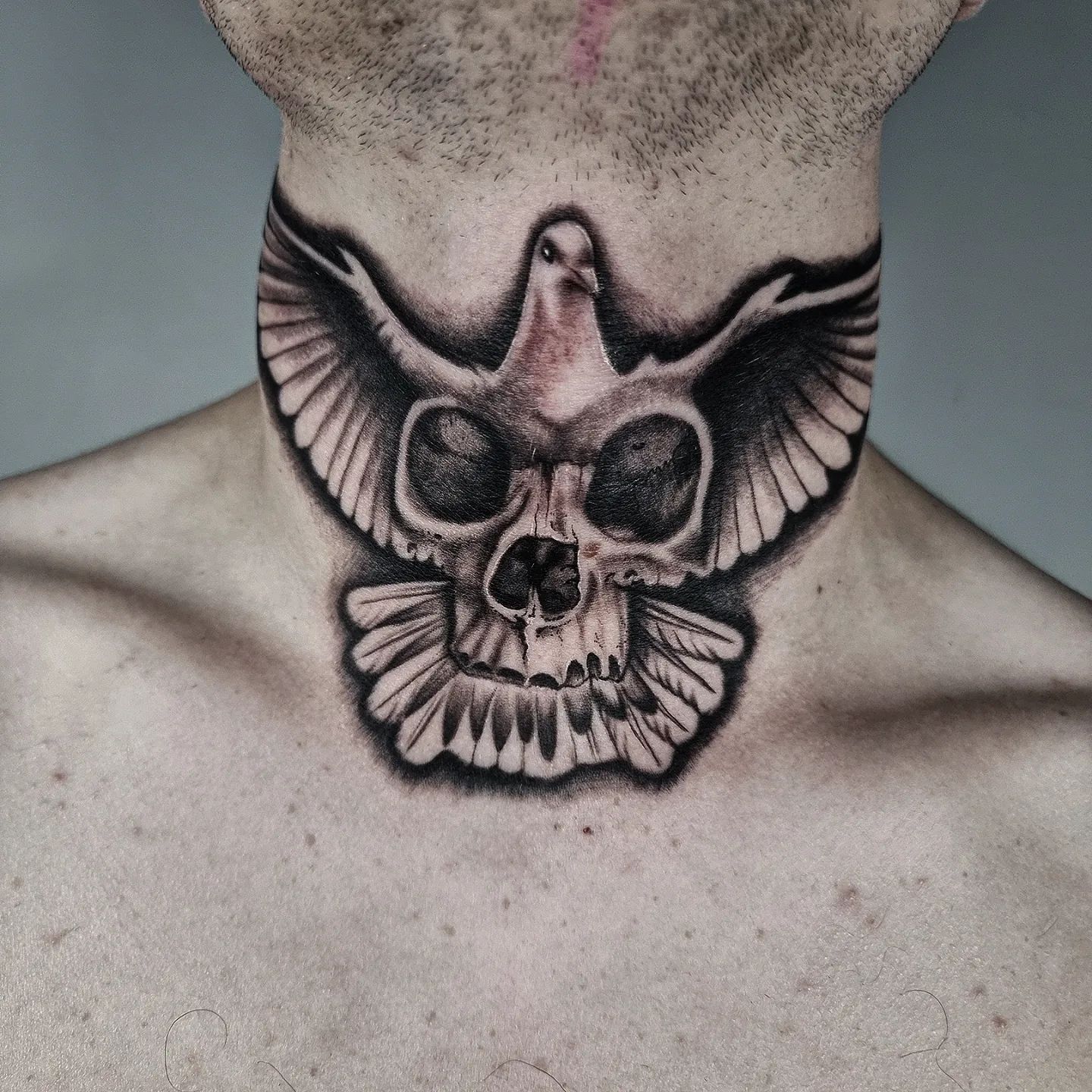 Tatuaje de paloma grande y negra.