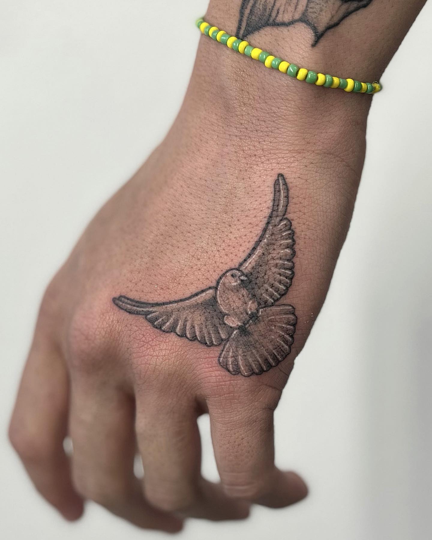 Tatuaje de paloma y palmera divertido