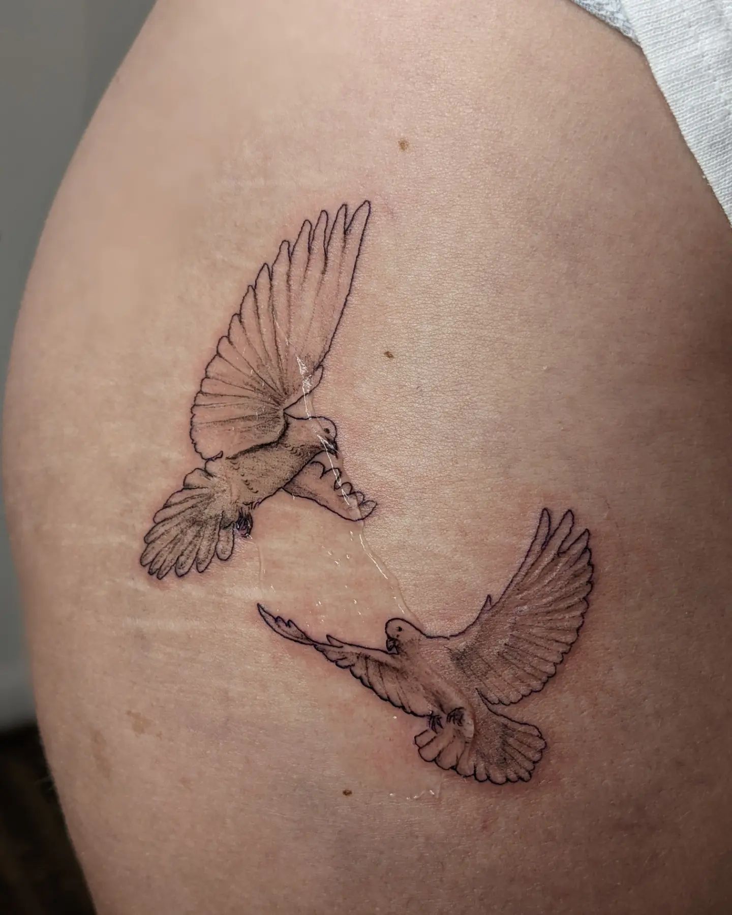 Tatuajes de dos palomas juguetonas.