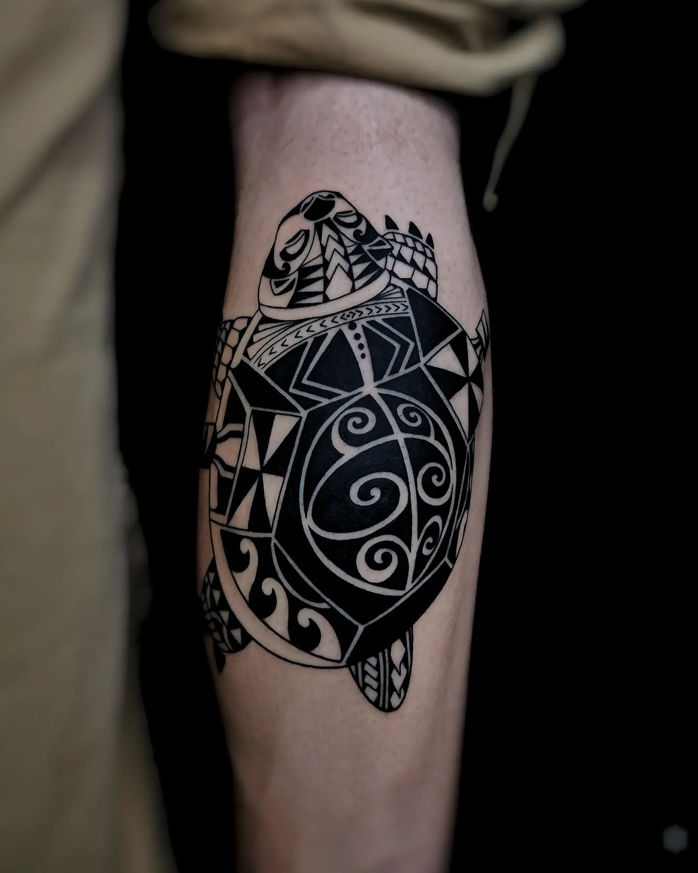 Tortuga Tatuaje Maorí