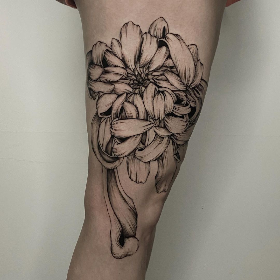 Dibujo de tatuaje de flor de crisantemo