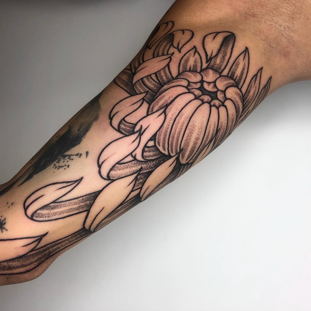 Diseños de tatuajes de flores de crisantemo para hombres y mujeres.
