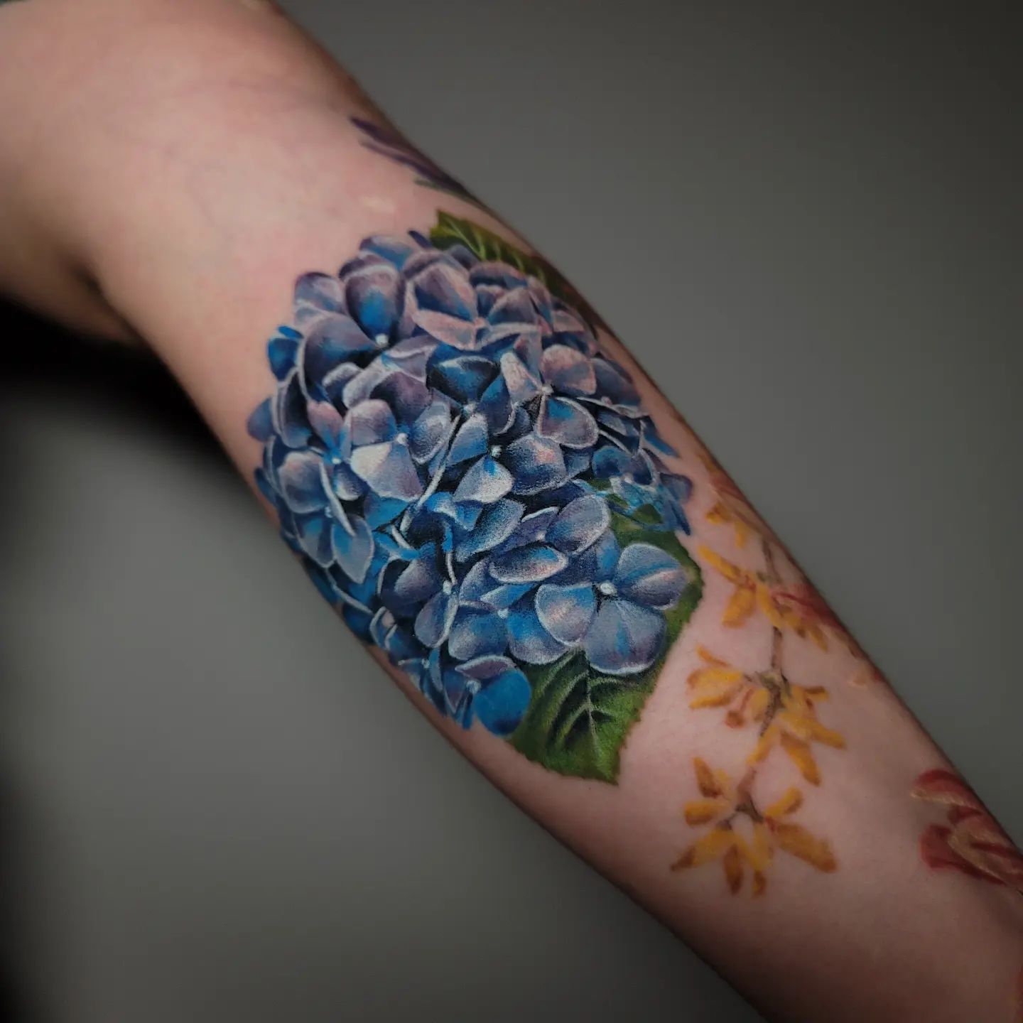 Gran tatuaje de hortensias