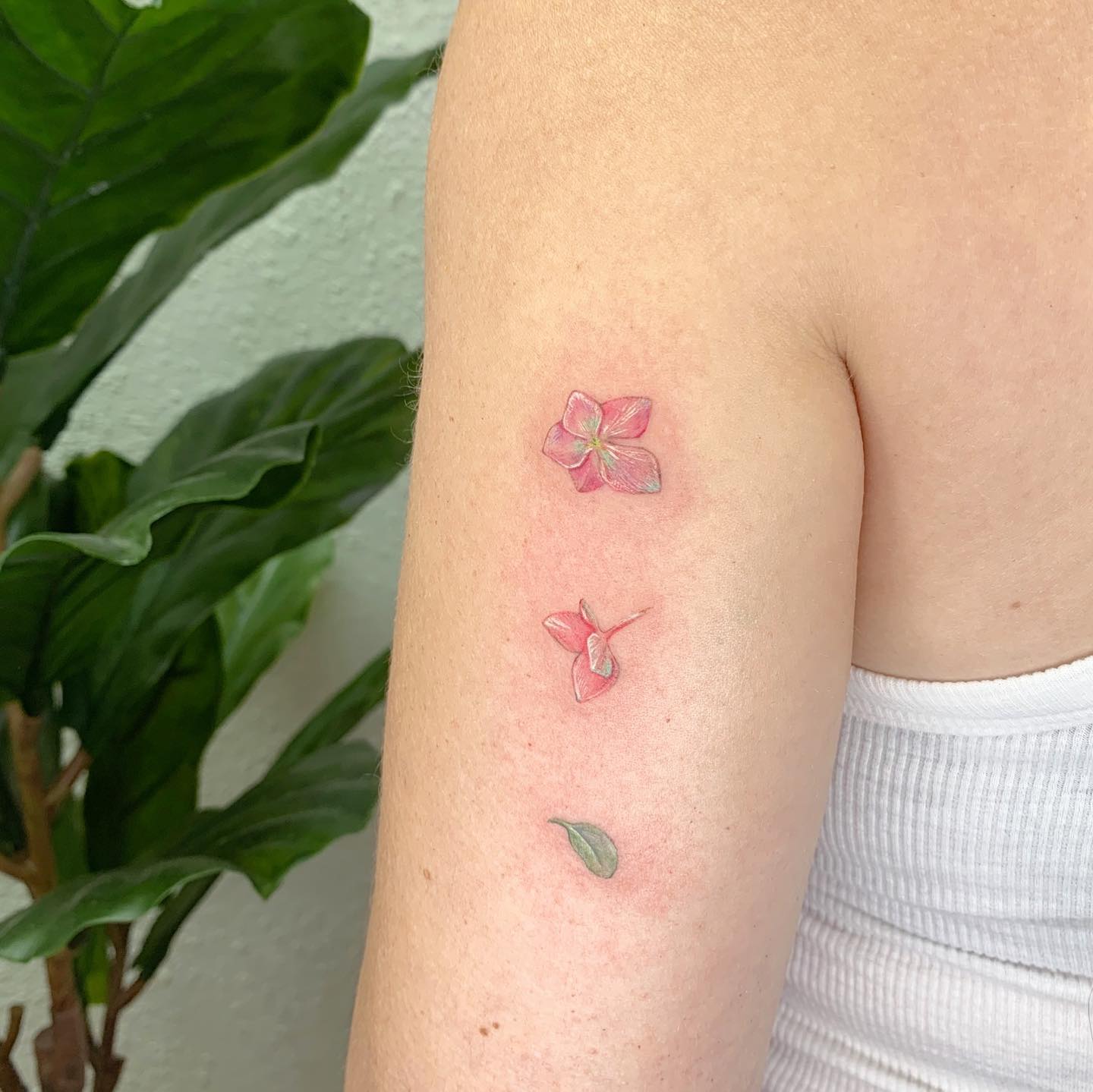Pequeño tatuaje de hortensia miniatura