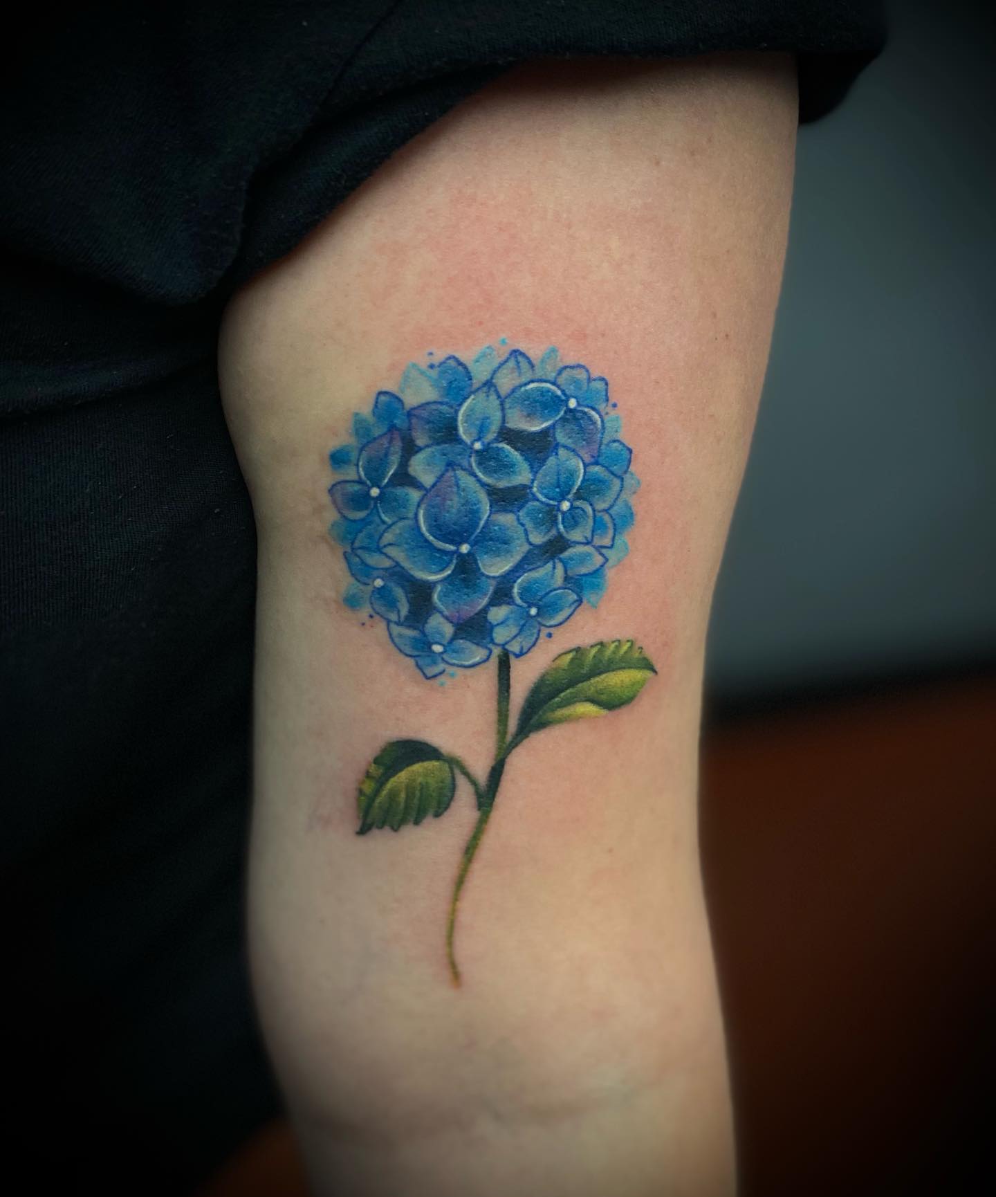 Tatuaje de hortensia azul claro.