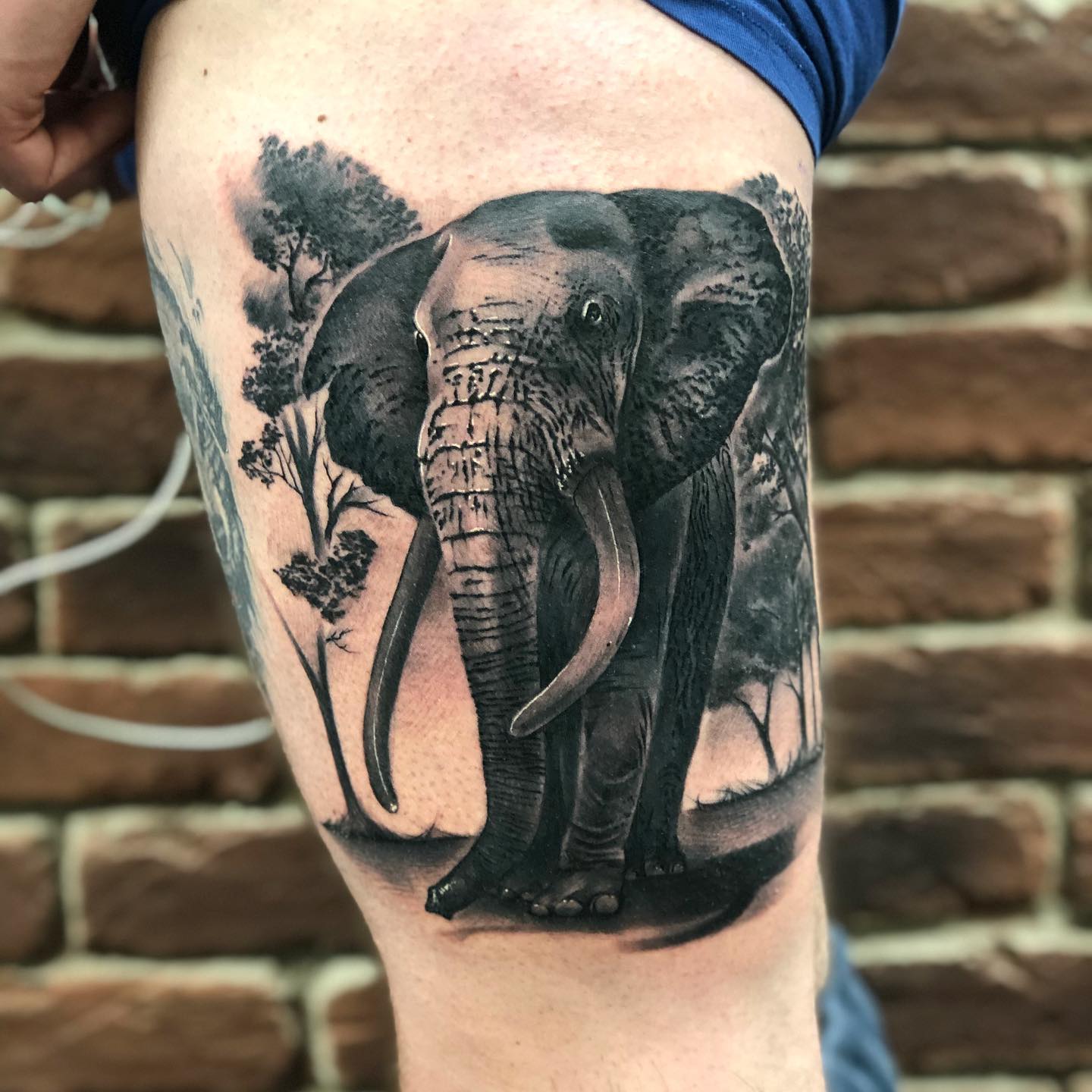 Tatuaje de muslo de elefante para hombres