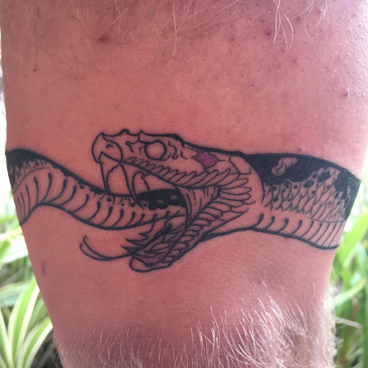 Tatuaje de serpiente ilustrativa en el muslo
