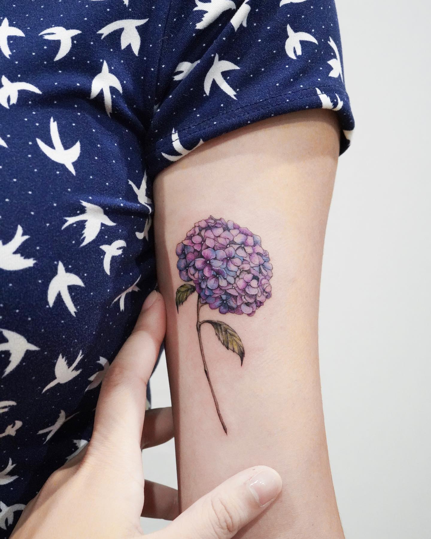 Tatuaje fresco de Hortensia en el antebrazo