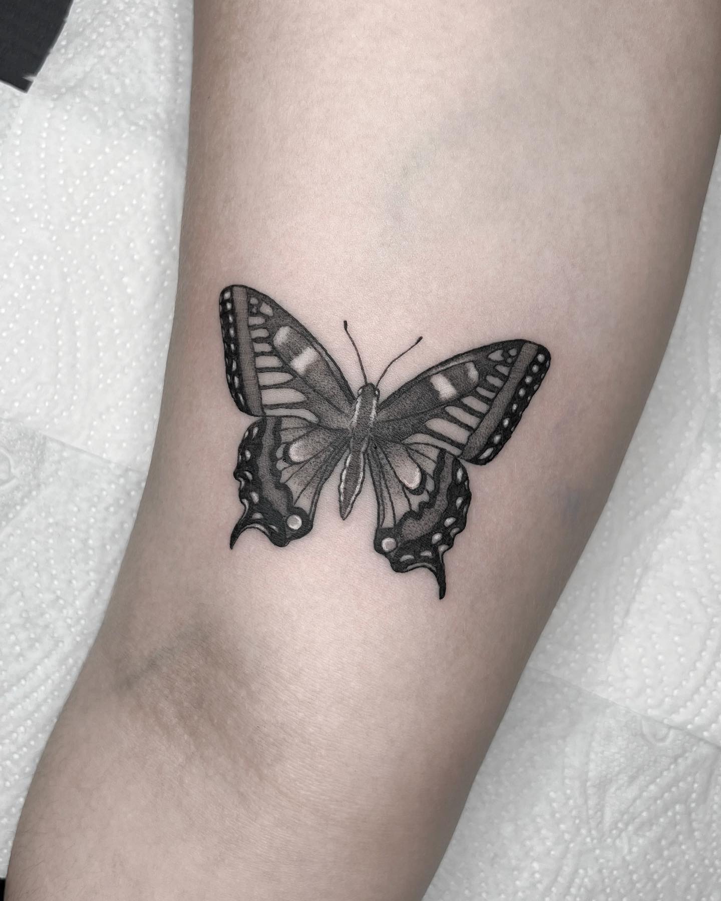 Tatuaje de mariposa en estilo blackwork