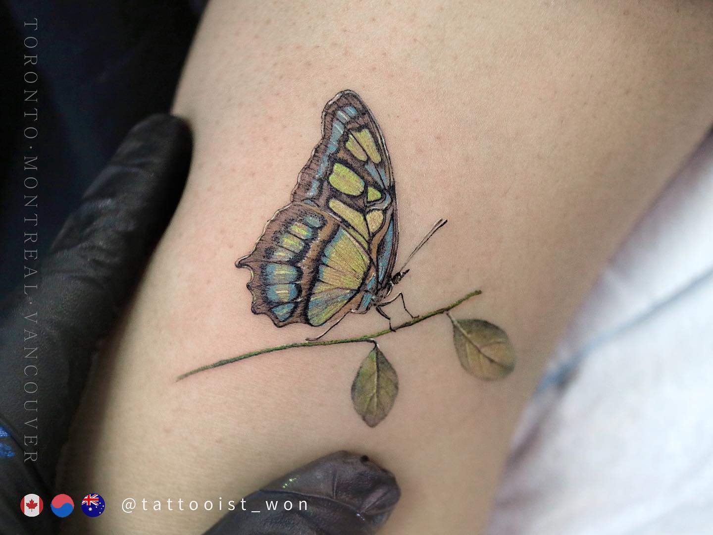 Tatuaje de Mariposa Verde Claro