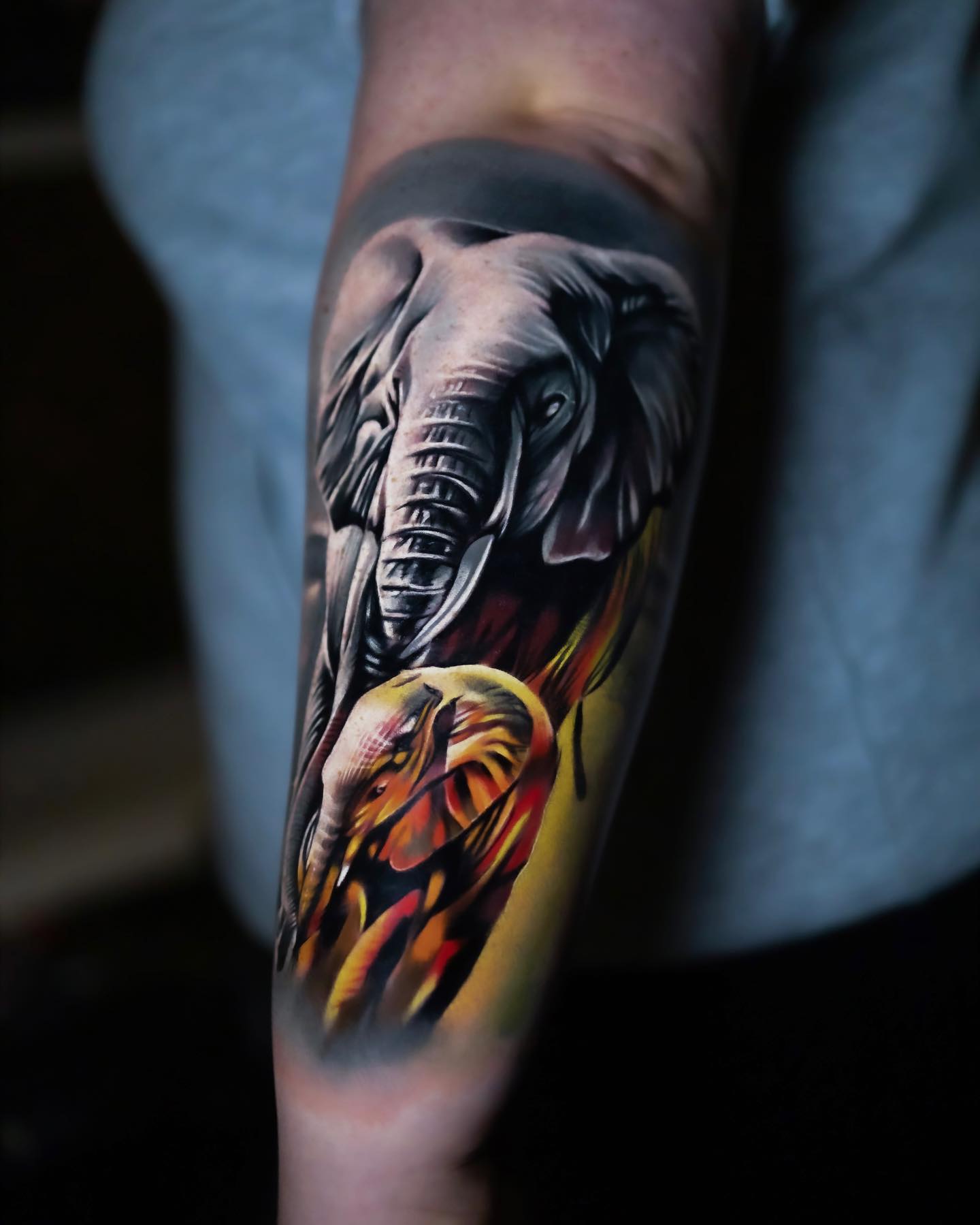 Tatuaje de Elefante Artístico.