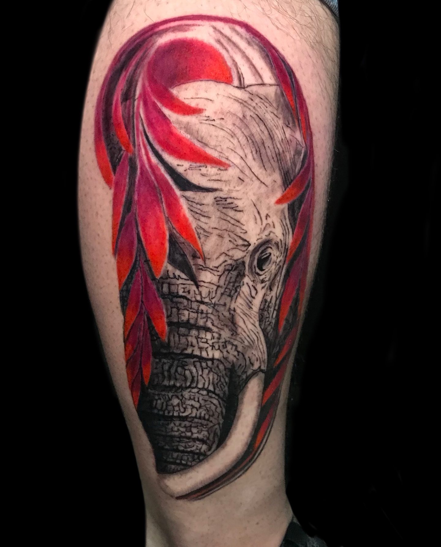 Tatuaje de elefante elegante.