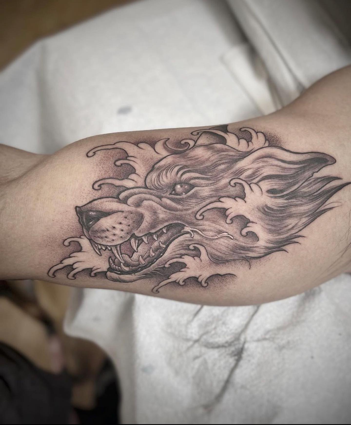 Tatuaje de lobo negro en el brazo.