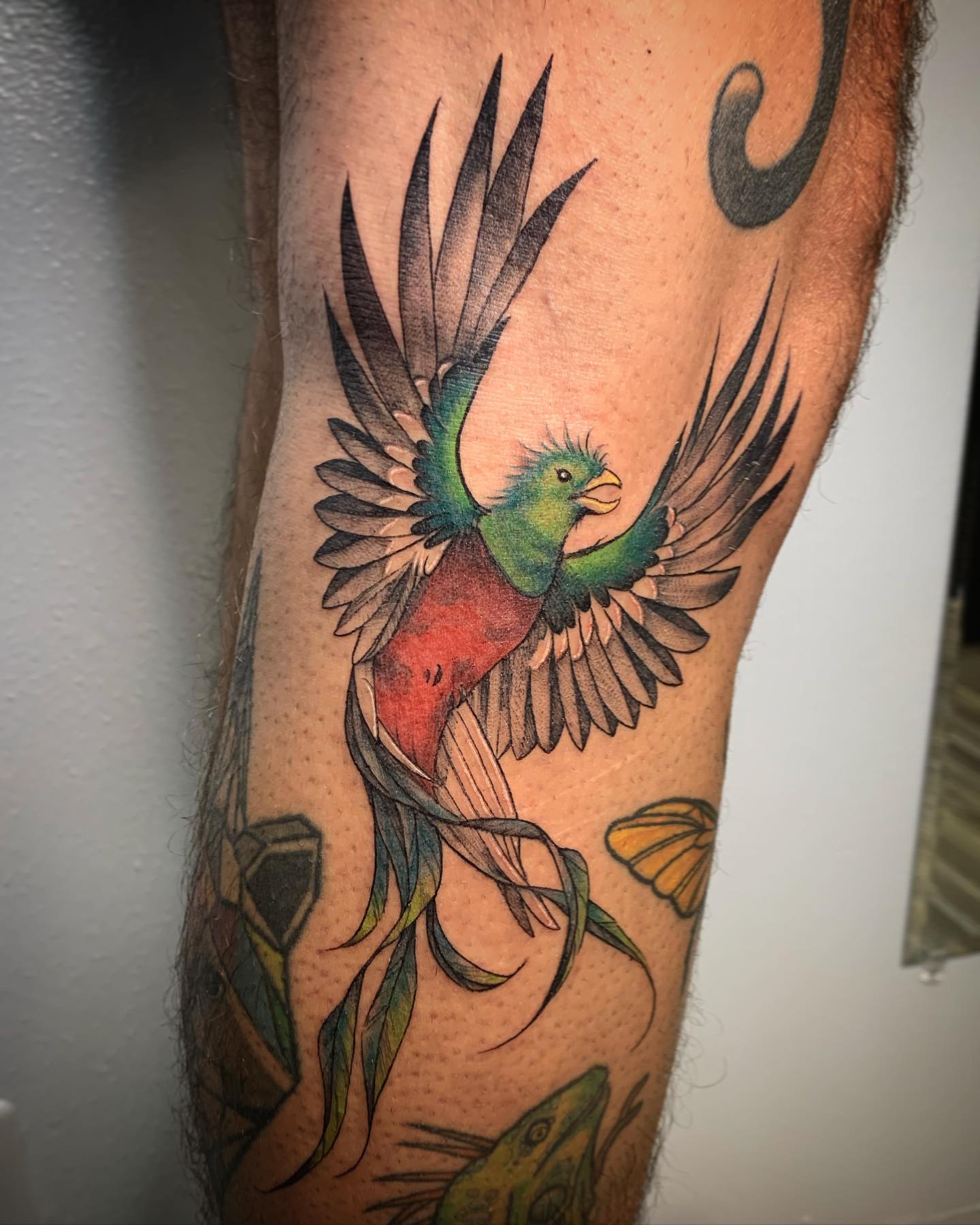 Tatuaje de Rodilla de Pájaro Grande