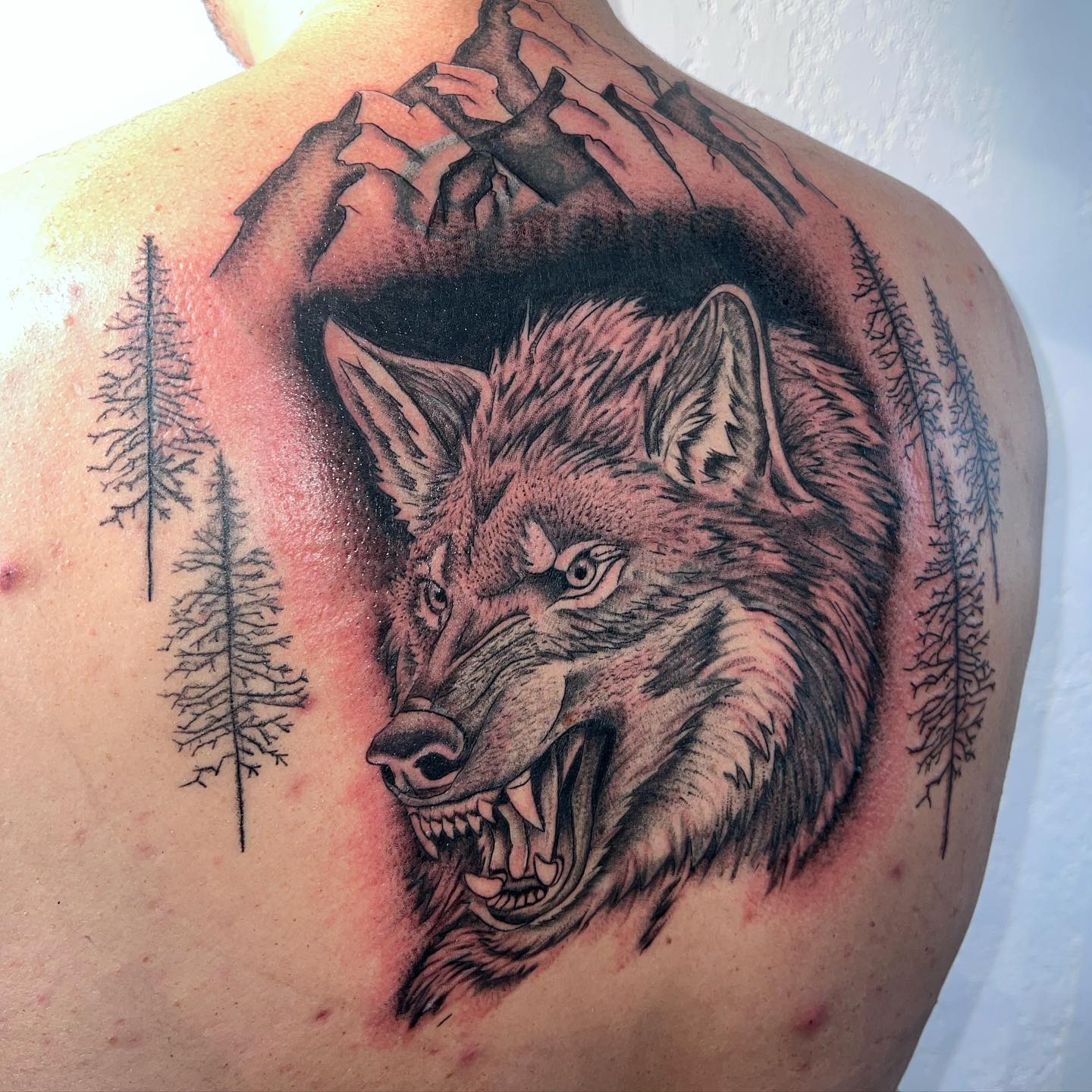 Tatuaje detallado de lobo en la espalda.