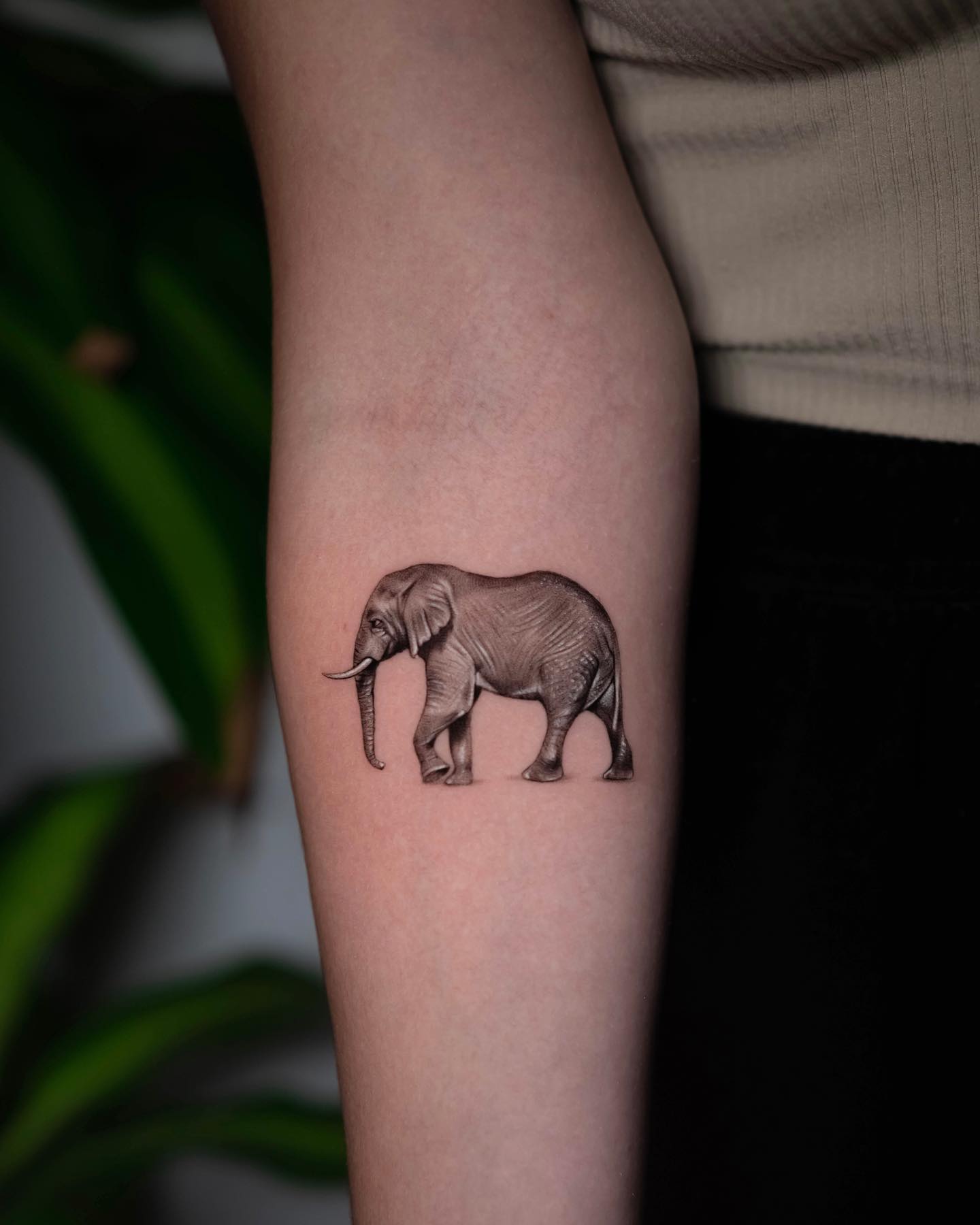 Tatuaje realista de elefante.