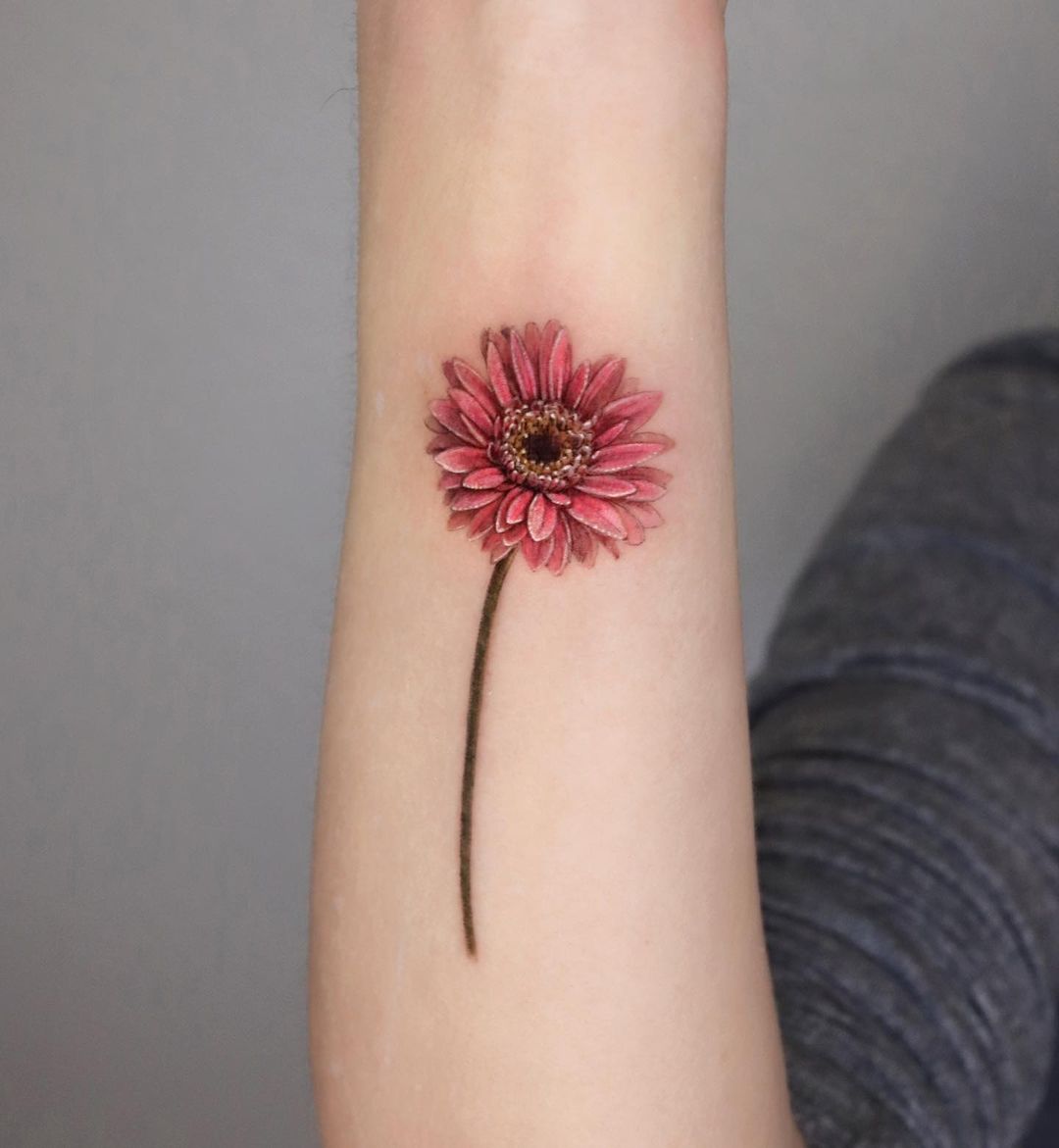 Tatuaje de gerbera daisy