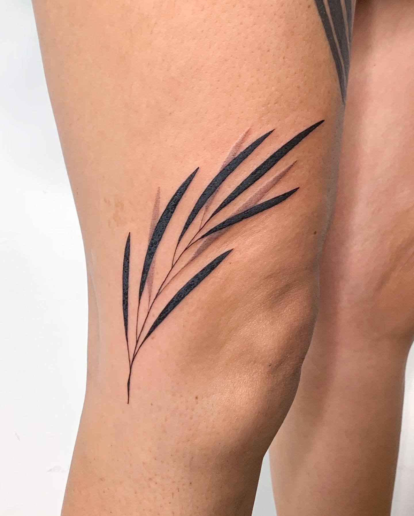 Tatuaje de hojas delgadas