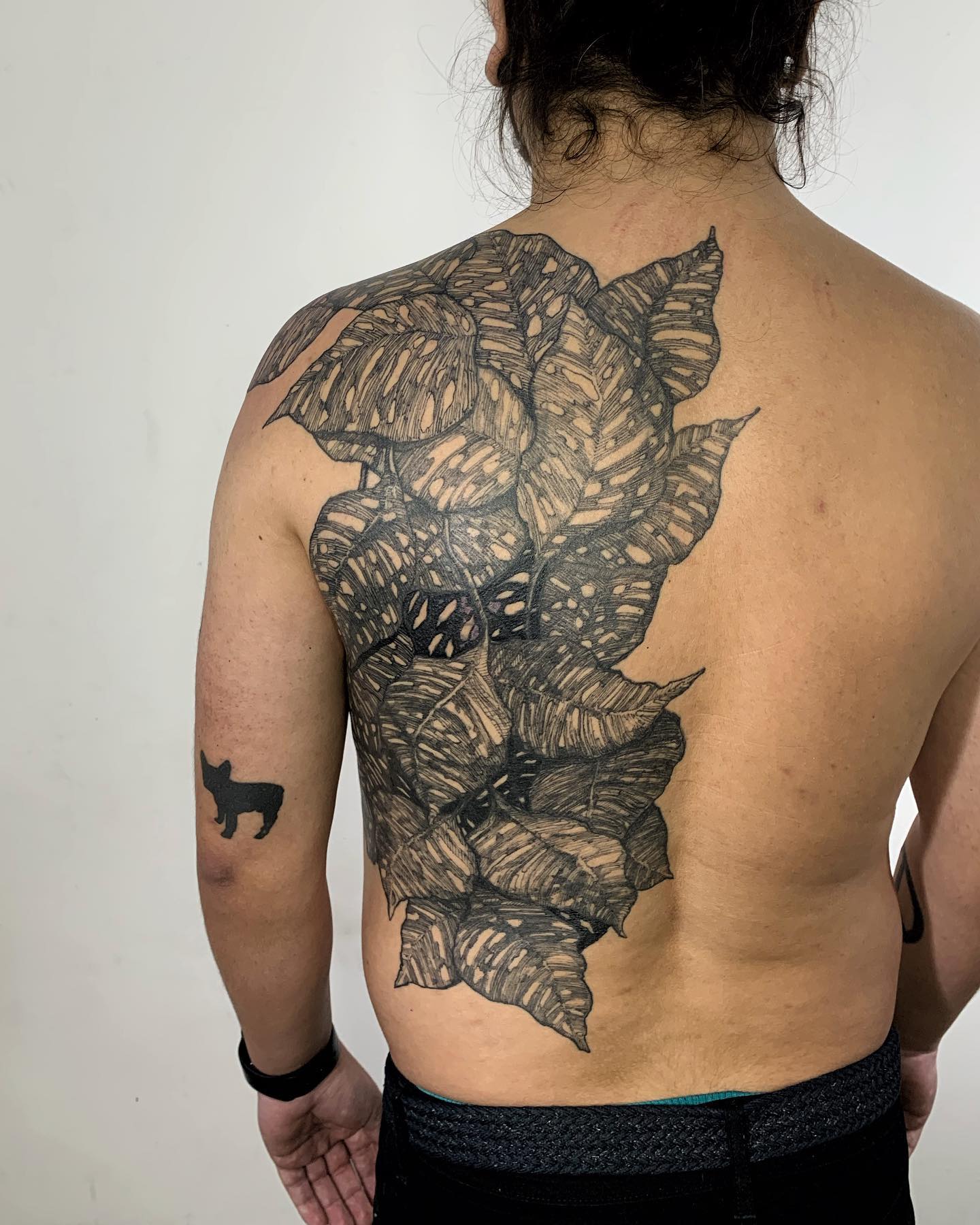 Tatuaje de Hojas Gigantes en la Espalda.