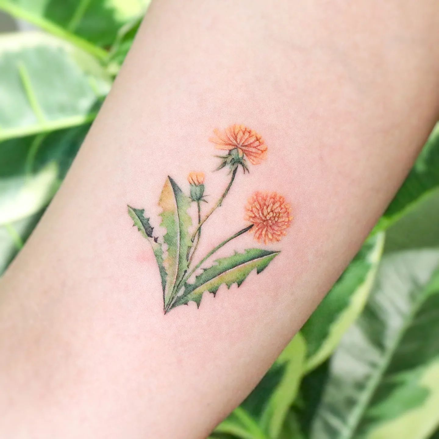 Tatuaje de Diente de León Naranja