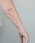 Tatuaje de Narciso Diseño Simple